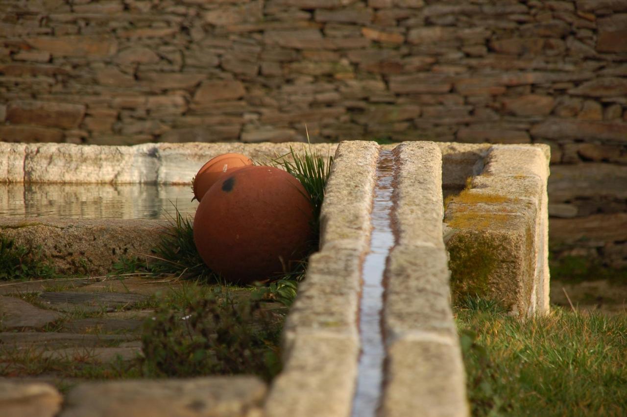 Quinta Da Alagoa Villa Santa Maria de Émeres Dış mekan fotoğraf
