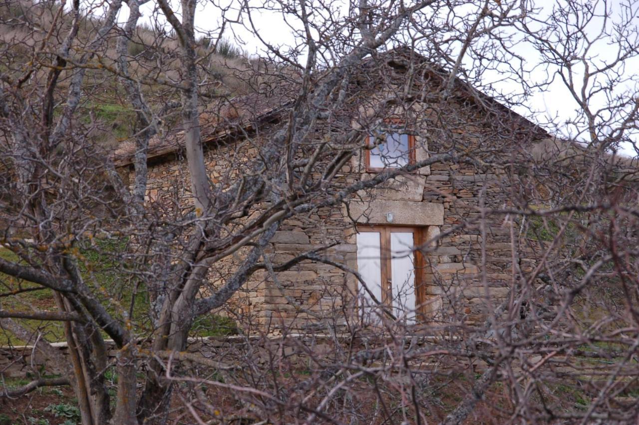 Quinta Da Alagoa Villa Santa Maria de Émeres Dış mekan fotoğraf