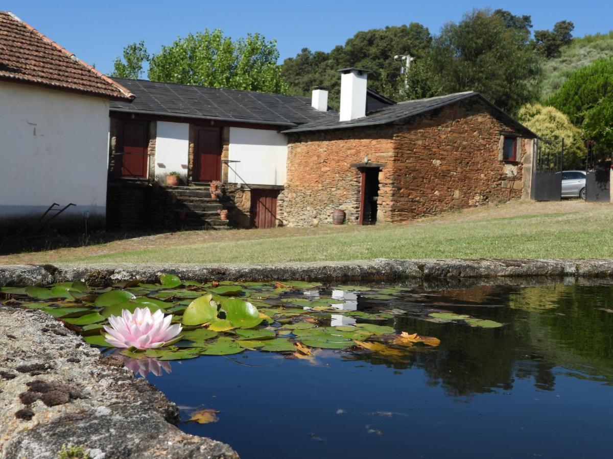 Quinta Da Alagoa Villa Santa Maria de Émeres Dış mekan fotoğraf