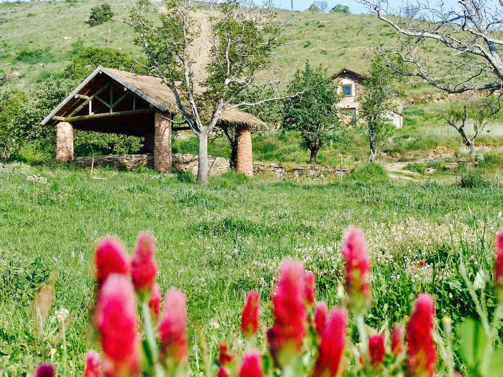 Quinta Da Alagoa Villa Santa Maria de Émeres Dış mekan fotoğraf