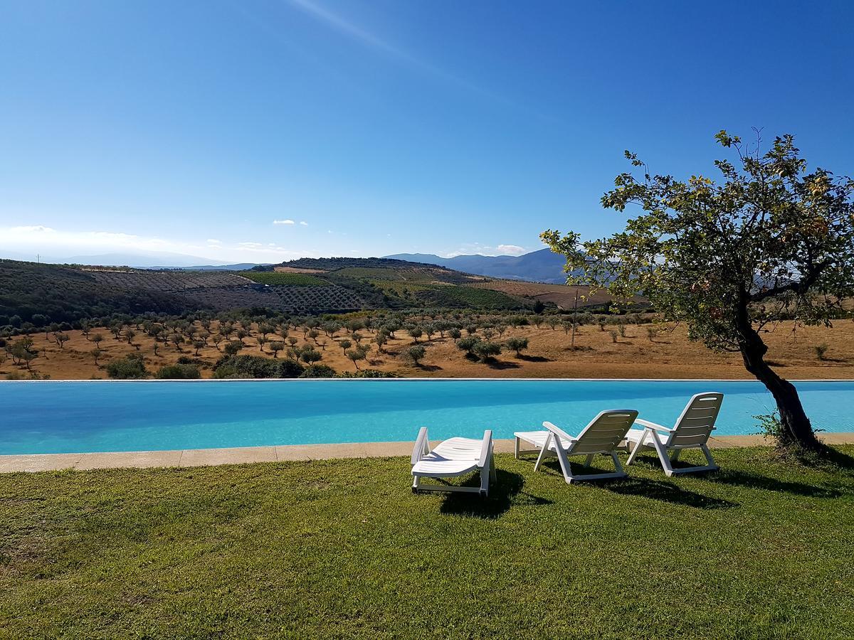 Quinta Da Alagoa Villa Santa Maria de Émeres Dış mekan fotoğraf