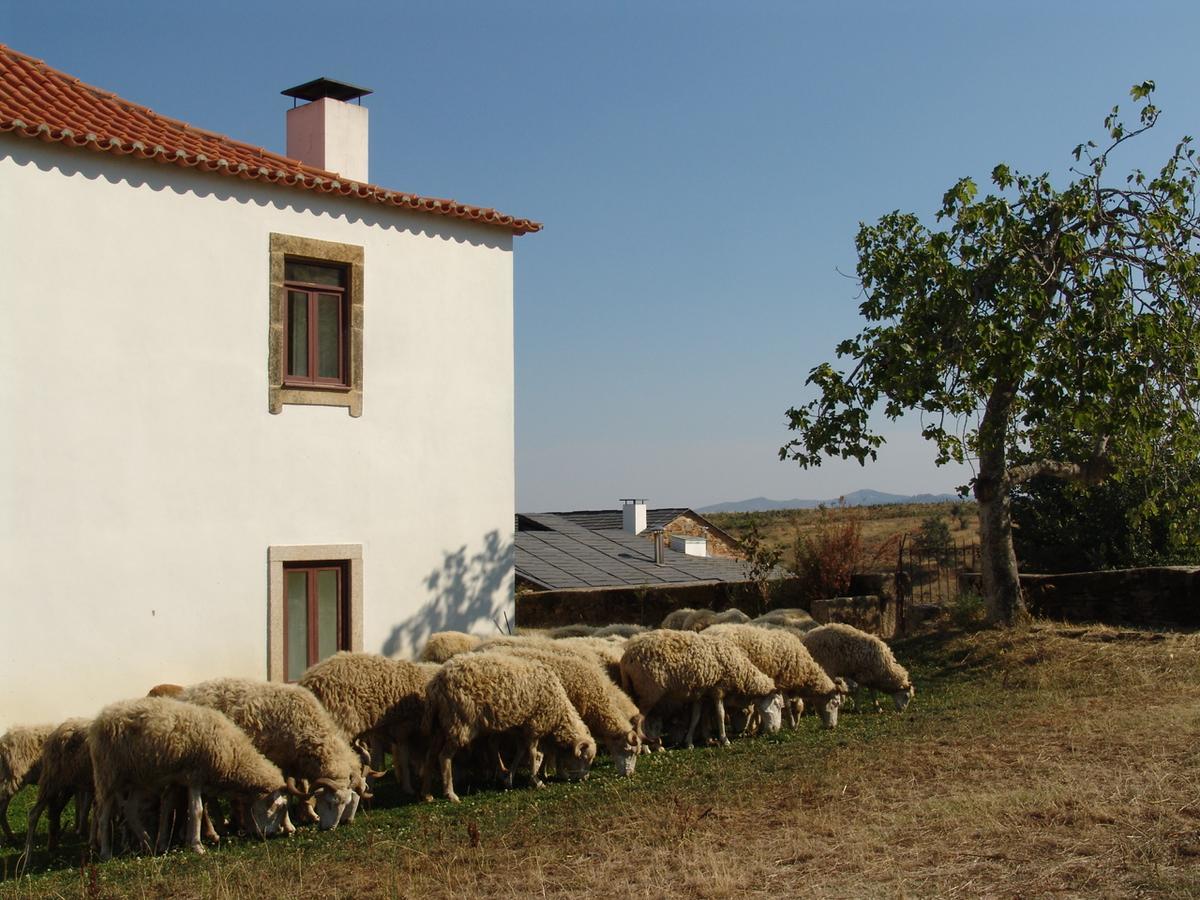 Quinta Da Alagoa Villa Santa Maria de Émeres Dış mekan fotoğraf