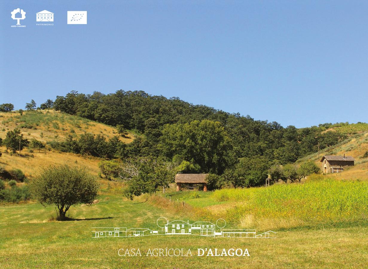 Quinta Da Alagoa Villa Santa Maria de Émeres Dış mekan fotoğraf