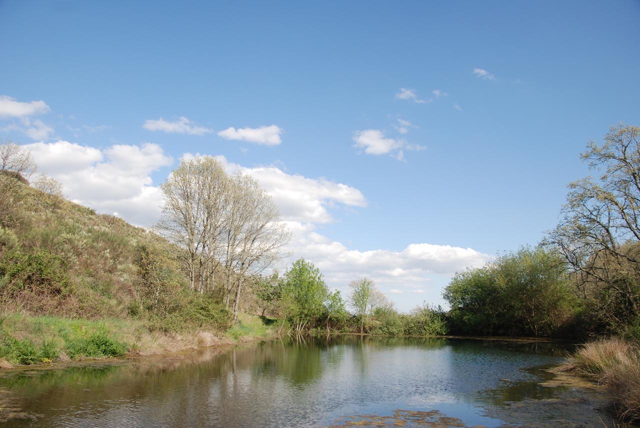 Quinta Da Alagoa Villa Santa Maria de Émeres Dış mekan fotoğraf