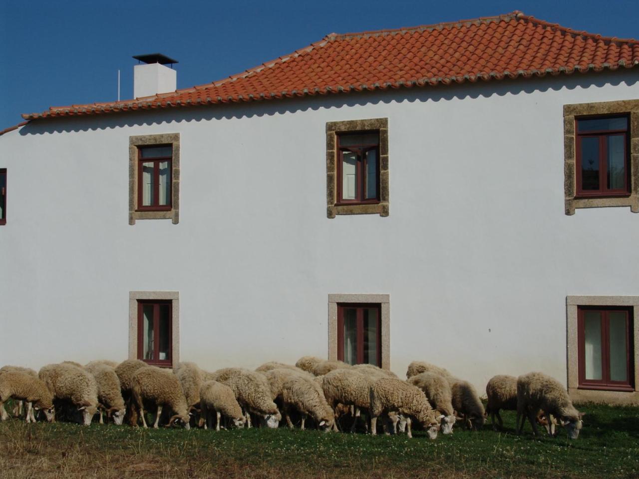Quinta Da Alagoa Villa Santa Maria de Émeres Dış mekan fotoğraf